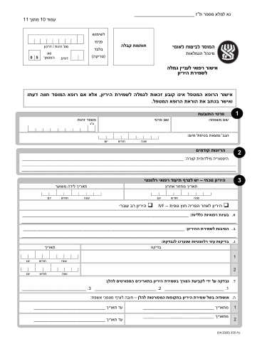 עמוד 11